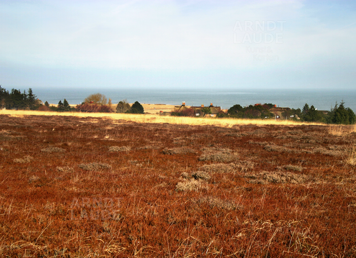 20100218_Sylt7.png