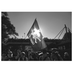 Pk - Pauli